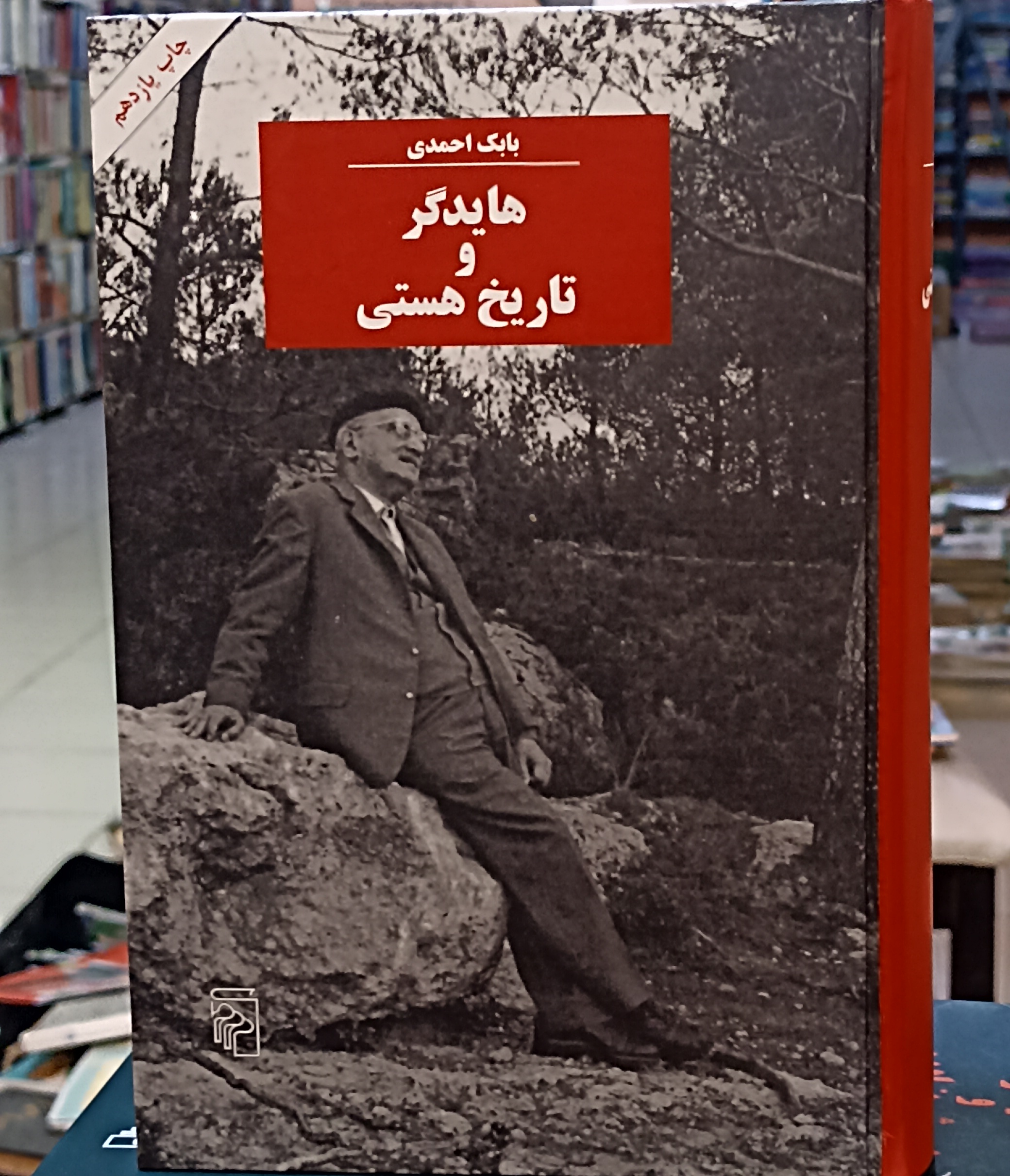 هایدگر و تاریخ هستی