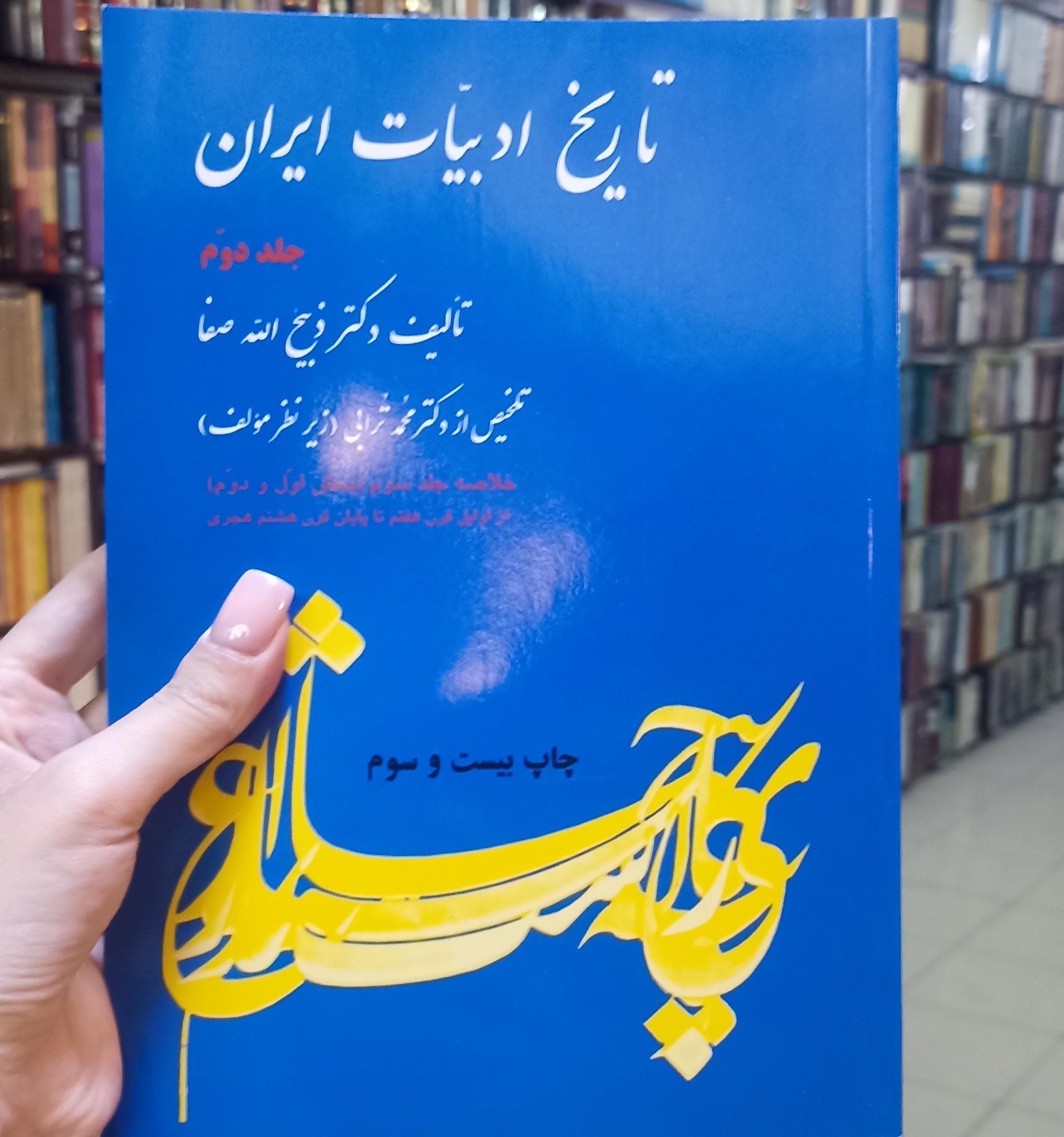 تاریخ ادبیات ایران جلد دوم
